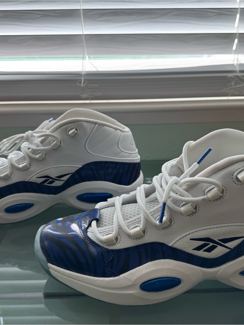 Reebok Allen Iverson Question Panini